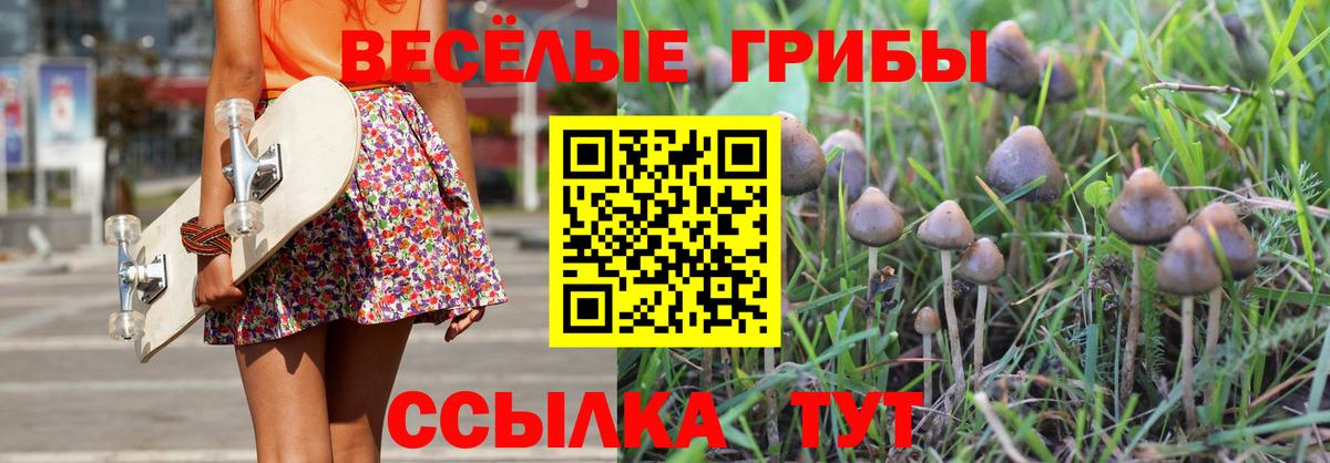 Псилоцибиновые грибы мицелий  Вход с VPN  Псилоцибиновые грибы прущие грибы  Салават 
