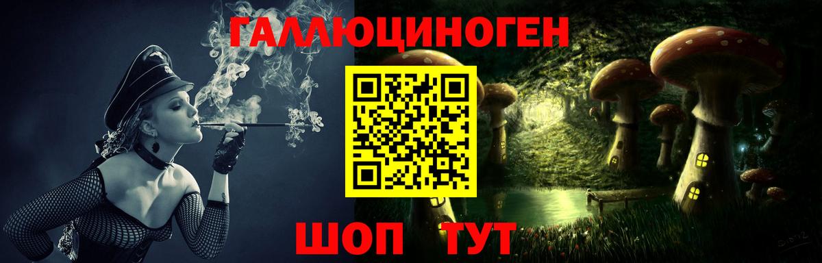 Галлюциногенные грибы Psilocybine cubensis Салават